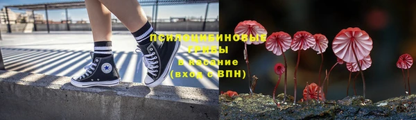PSILOCYBIN Няндома