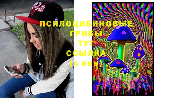 PSILOCYBIN Няндома