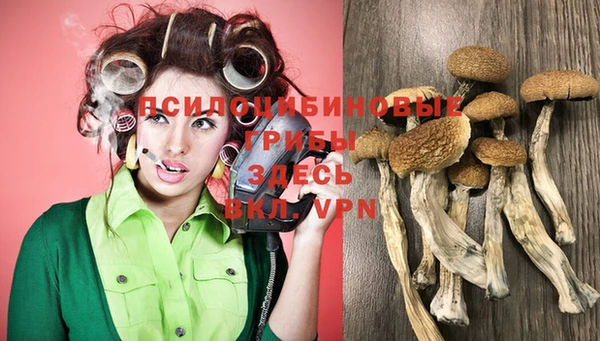 PSILOCYBIN Няндома