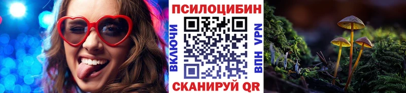 мега зеркало  Энем  Псилоцибиновые грибы мицелий 