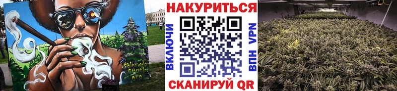 hydra ССЫЛКА  Энем  Канабис индика 